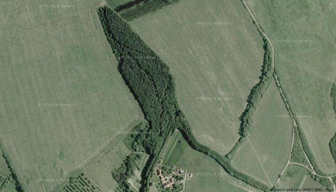 Borečky