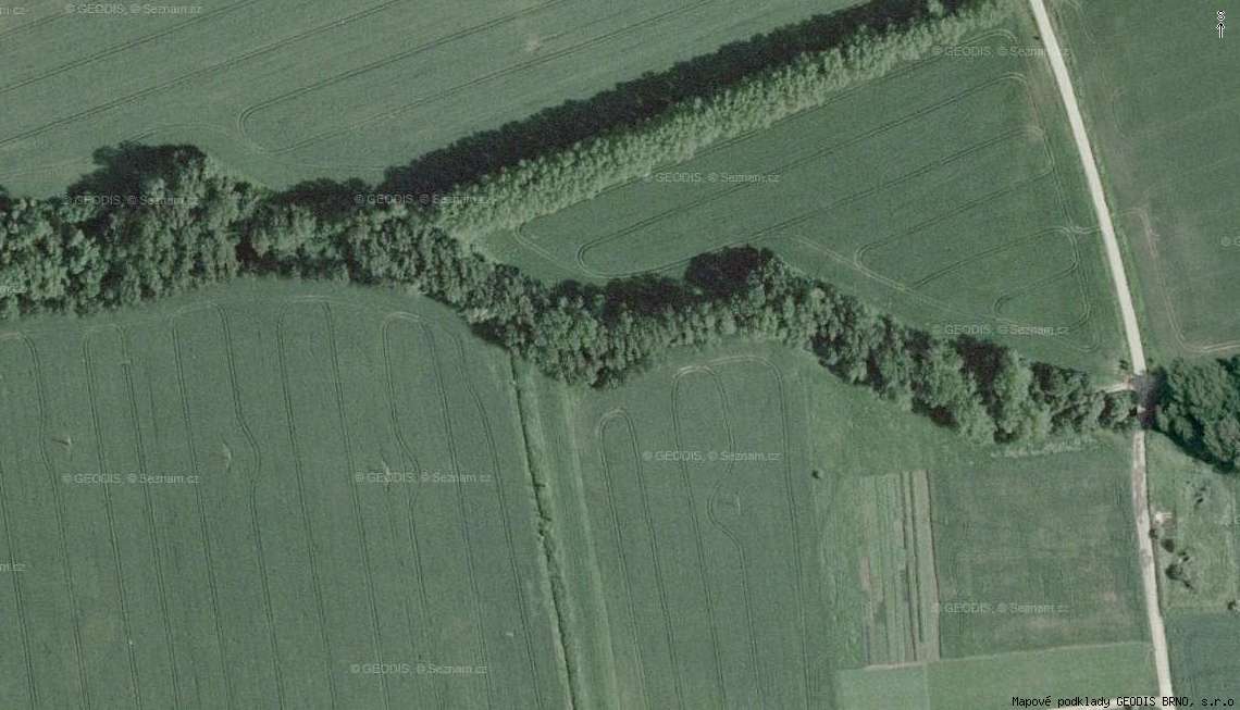 Drustvo